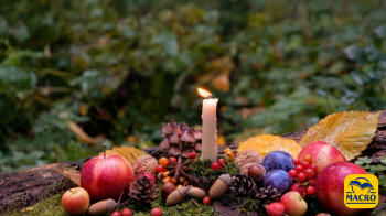 Il Ritmo Sacro della Madre Terra: connettiti con la Ciclicità Naturale