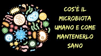Cos'è il microbiota umano e come mantenerlo sano