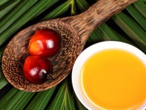 L’olio di palma fa male? Intervista a Debora Rasio