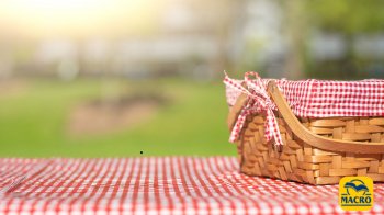 Pasquetta Etica: quando il picnic diventa un gesto d’amore