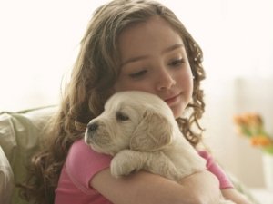 Pet Therapy: il segreto del successo