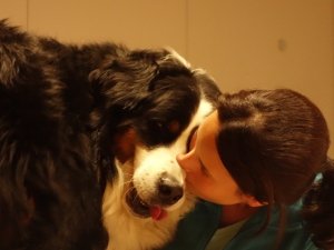 Pet Therapy: i benefici per una mamma