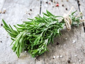 Rosmarino: proprietà terapeutiche e ricette