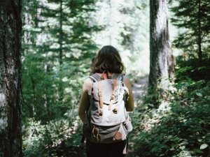 Shinrin-Yoku: il bagno nella foresta. Cos'è e come funziona