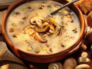 Zuppa di funghi porcini con miglio senza glutine e latte animale