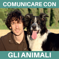 La Comunicazione Intuitiva con gli Animali