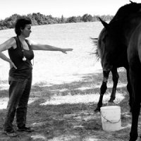 La convivenza con gli animali domestici