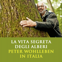 Peter Wohlleben in Italia