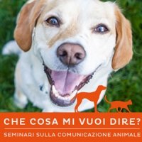 Seminari comunicazione animale