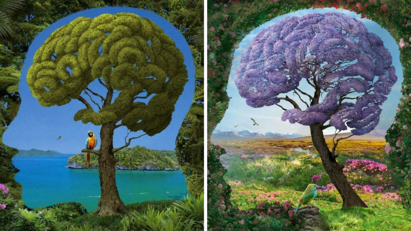 Gli alberi hanno un cervello Gli alberi hanno un cervello