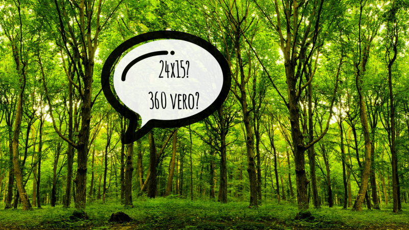 Gli alberi sanno contare Gli alberi sanno contare
