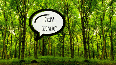 Gli alberi sanno contare Gli alberi sanno contare