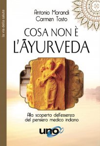 Cosa non è l'Ayurveda - Libro