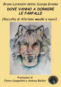 Dove vanno a dormire le farfalle - Libro