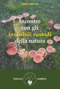 Incontro con gli Invisibili Custodi della Natura - Libro