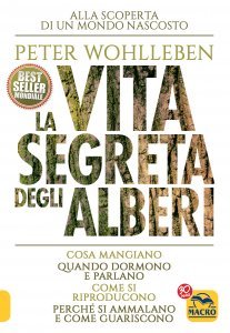 La Vita Segreta degli Alberi - Ebook