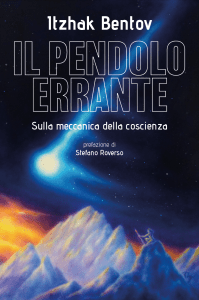 Il pendolo errante - Libro