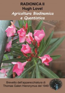 Radionica vol 2 - Libro