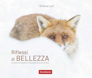Riflessi di BELLEZZA - Libro