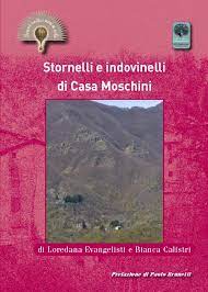 Stornelli e Indovinelli di Casa Moschini - Libro