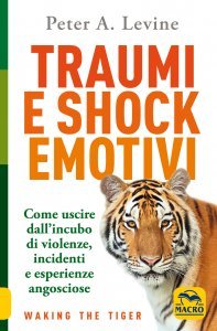 Traumi e Shock Emotivi - Libro