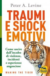 Traumi e Shock Emotivi - Libro