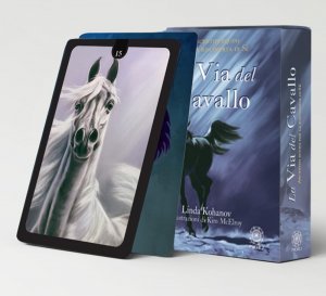 Via del Cavallo - Libro