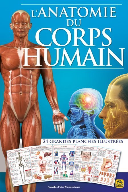 L'Anatomie du Corps Humain - Atlas (livre)