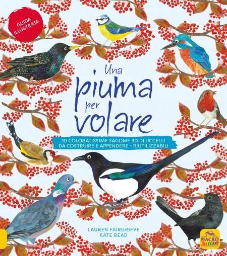 Una Piuma per volare - Libro