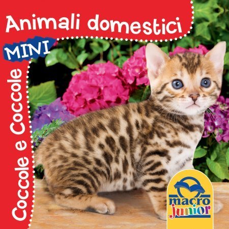Animali Domestici - Mini - Libro