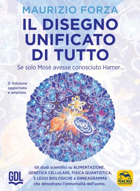 Il disegno unificato di tutto - Libro