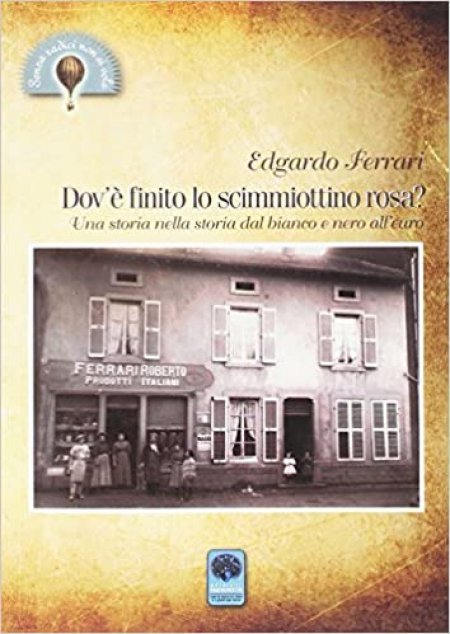 Dov'è Finito lo Scimmiottino Rosa? - Libro