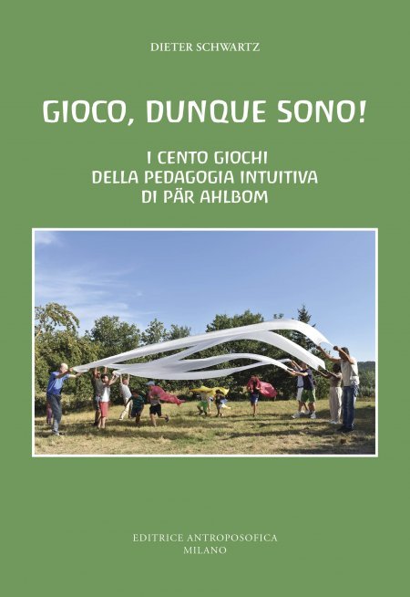 Gioco, dunque sono! - Libro
