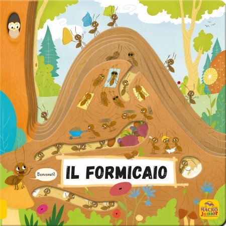 Il Formicaio - Libro