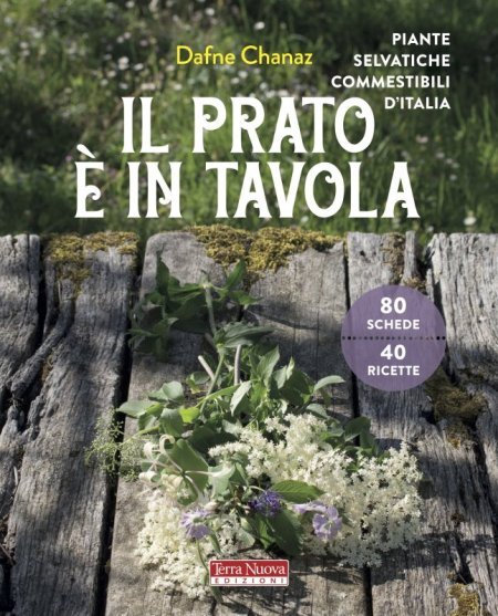 Il Prato è il Tavola - Libro