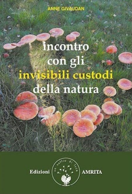 Incontro con gli Invisibili Custodi della Natura - Libro