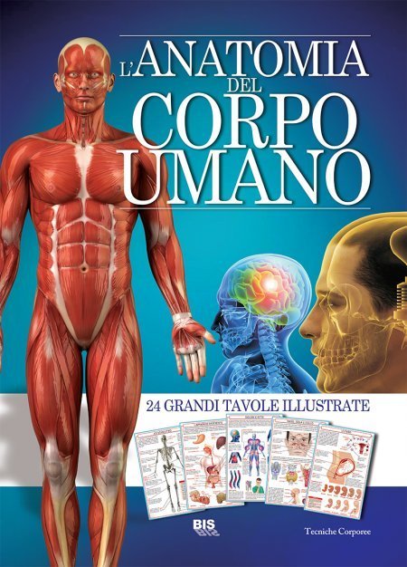 Anatomia del corpo umano