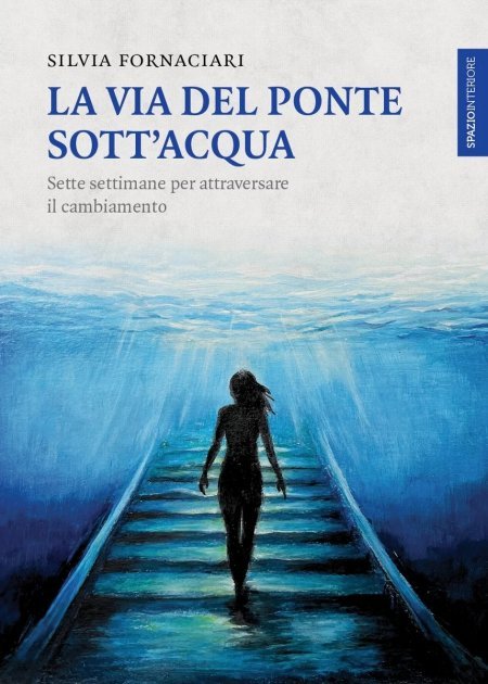 La Via del Ponte sott'Acqua - Libro