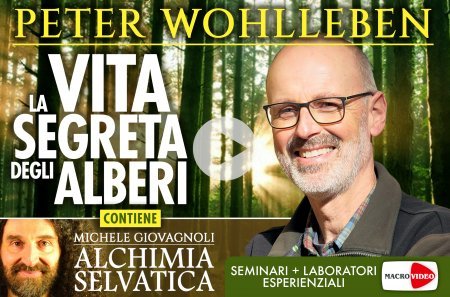 La vita segreta degli alberi