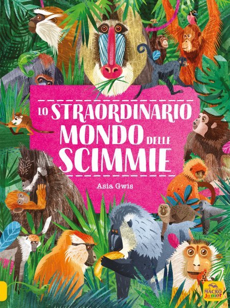 Lo Straordinario Mondo delle Scimmie - Libro