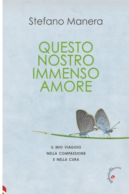 Questo nostro immenso amore - Libro