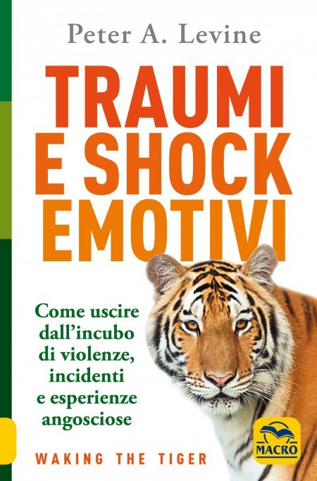 Traumi e Shock Emotivi USATO - Libro
