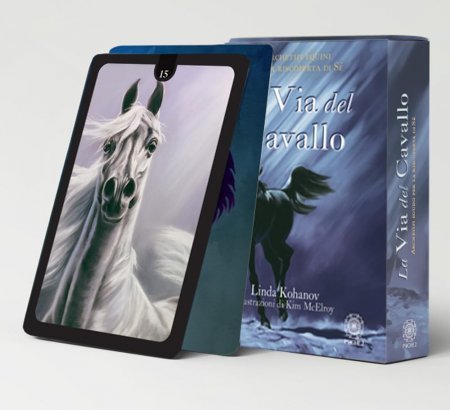 Via del Cavallo - Libro