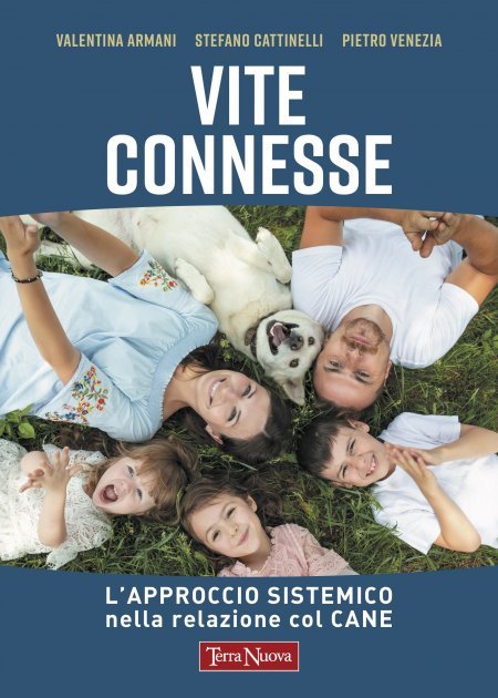 Vite Connesse USATO - Libro