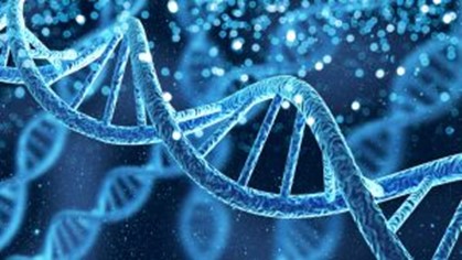 La biologia delle credenze - la doppia elica del DNA