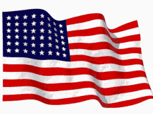 U.S.A.