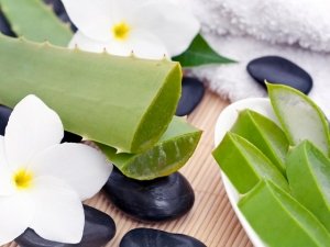 aloe vera benefici pelle viso