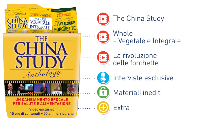 China Study Anthology contenuti