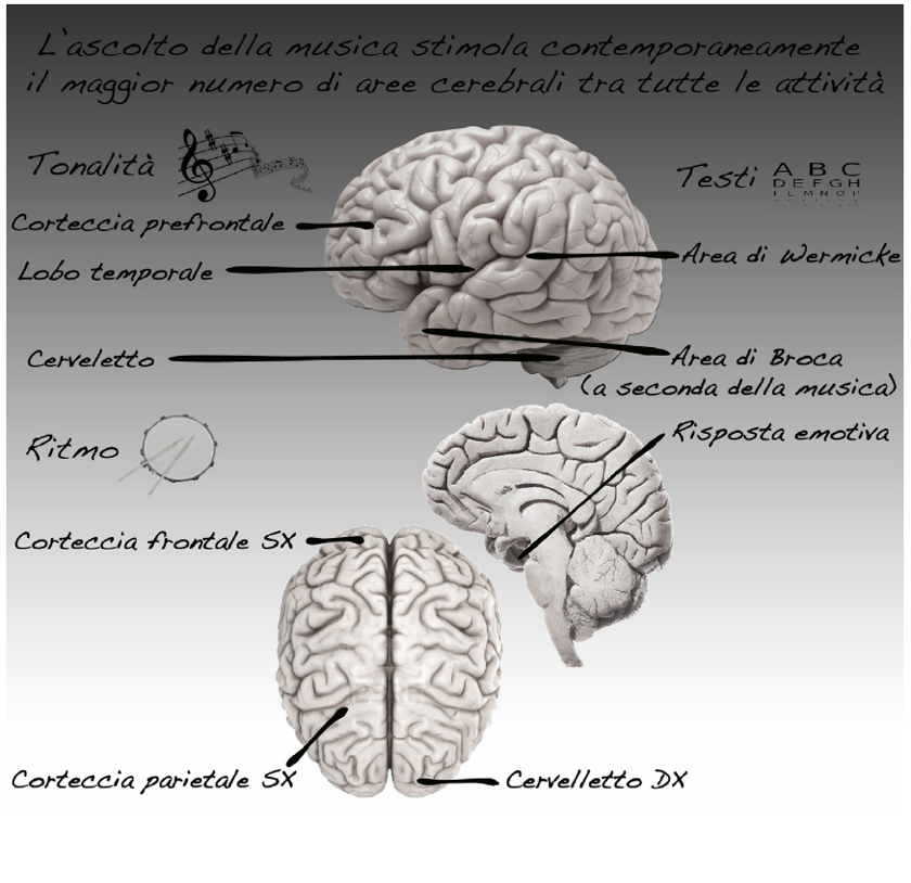 Neurosonica