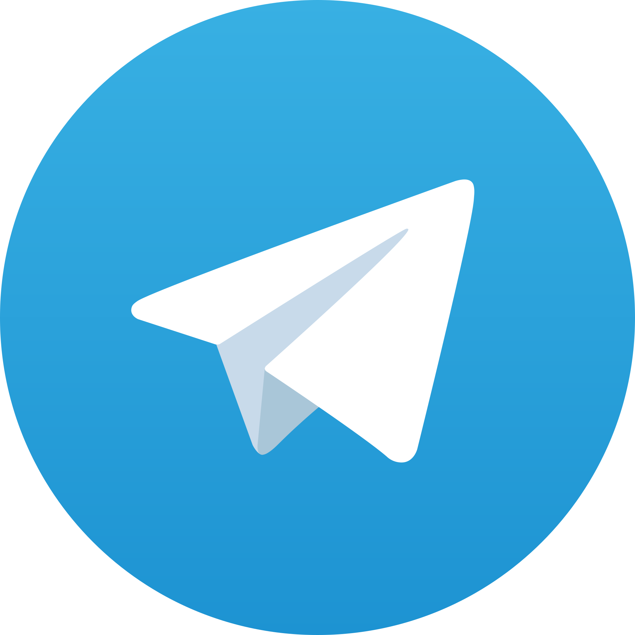 Canale Telegram